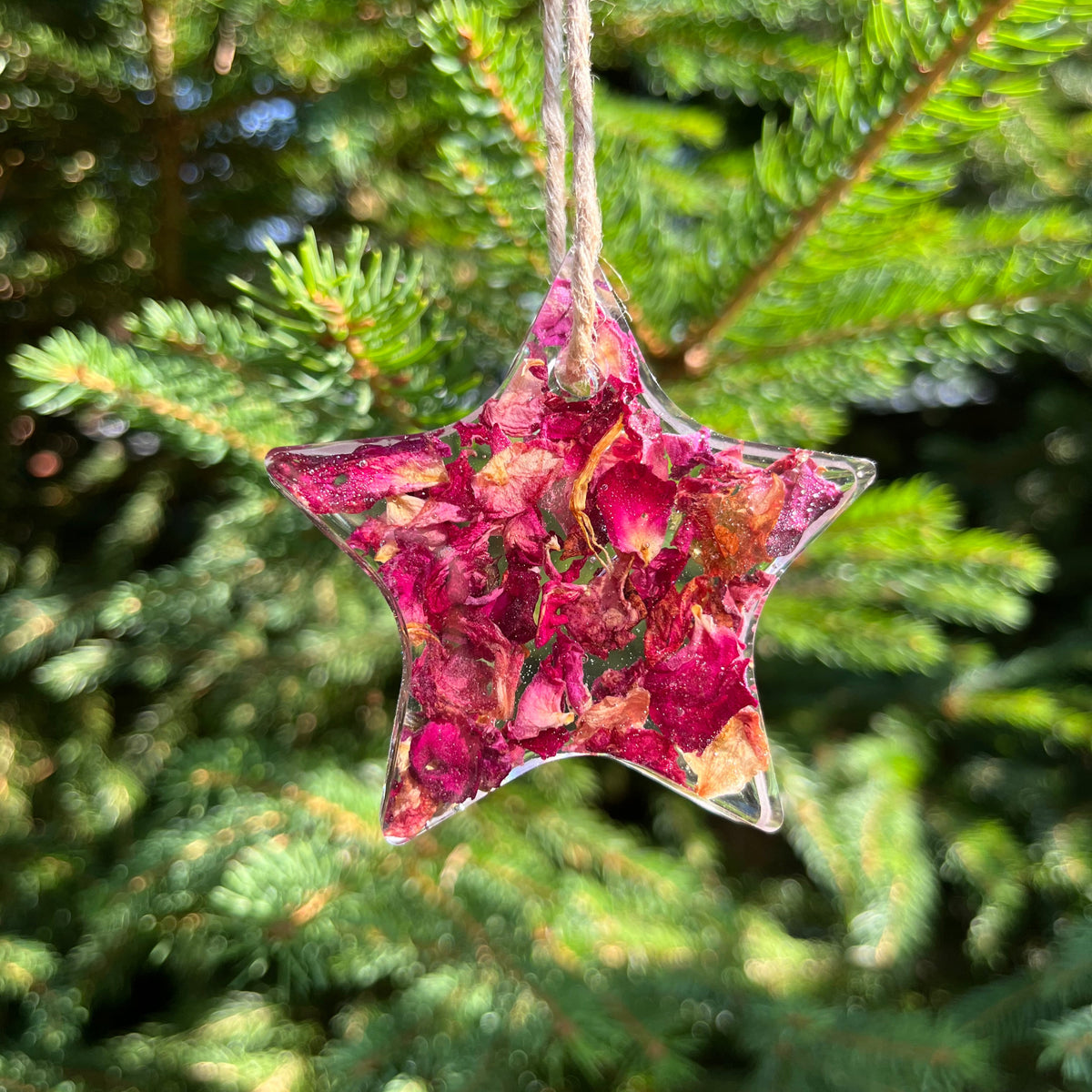 Star-shaped pink ornament on a Christmas tree