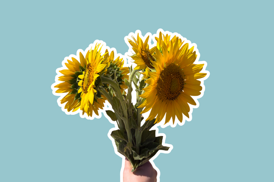 best professional wedding flower preservation methods