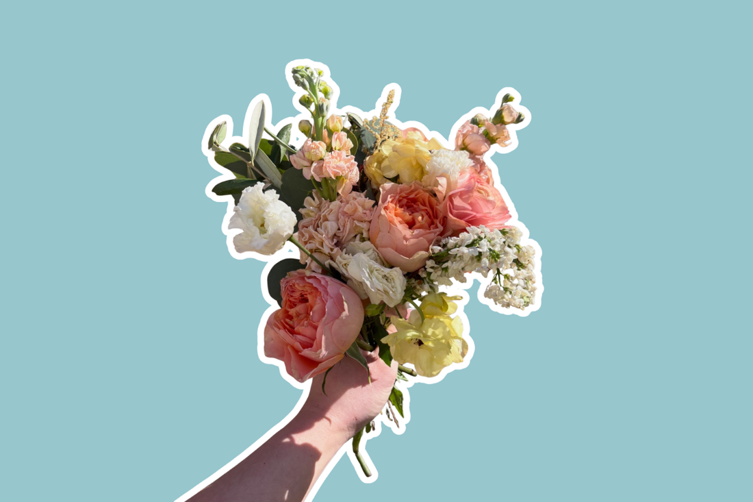 my favourite flowers to preserve