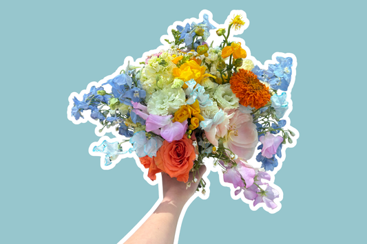why do flowers change colour during preservation?