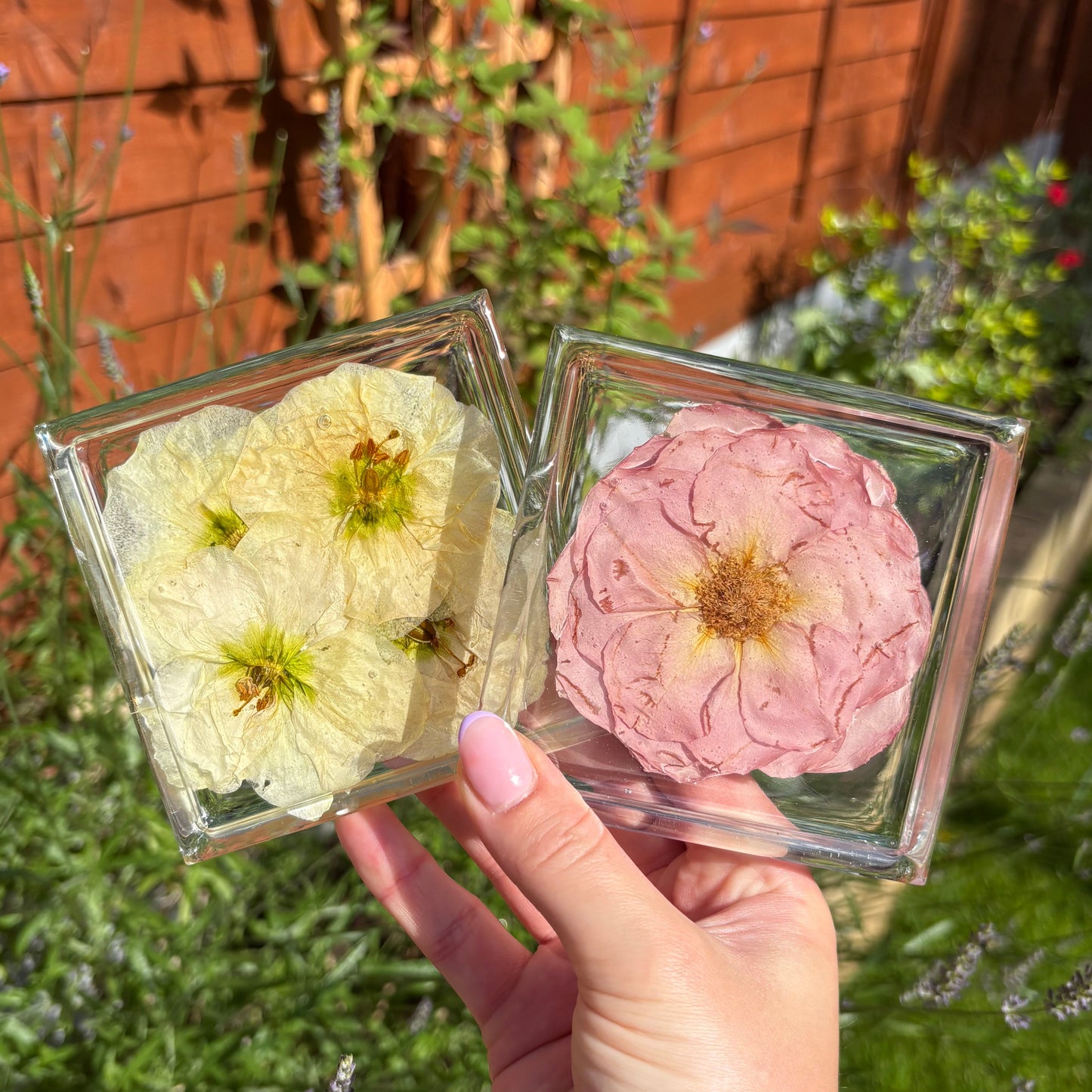 Square Coaster Sets