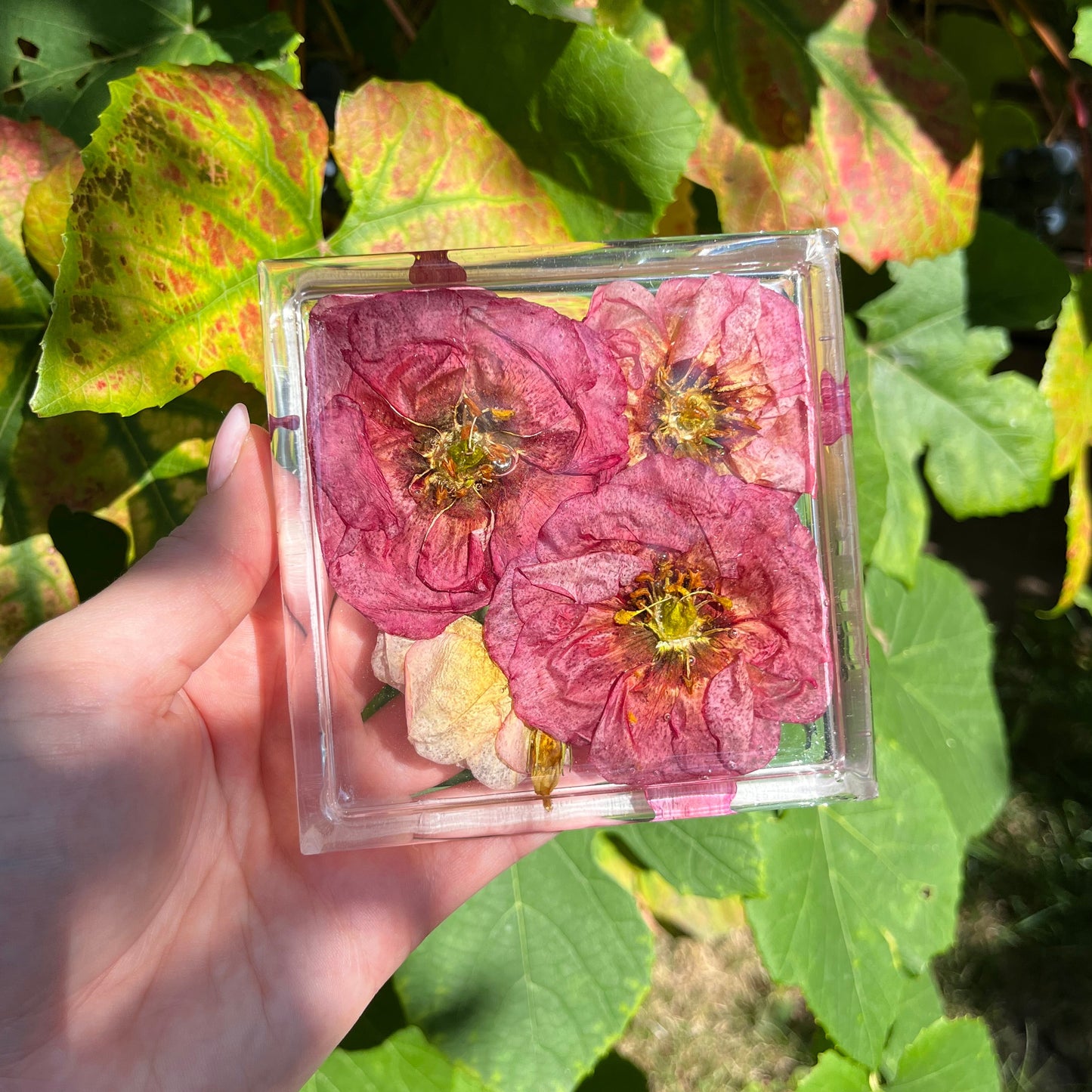 Square Coaster Sets