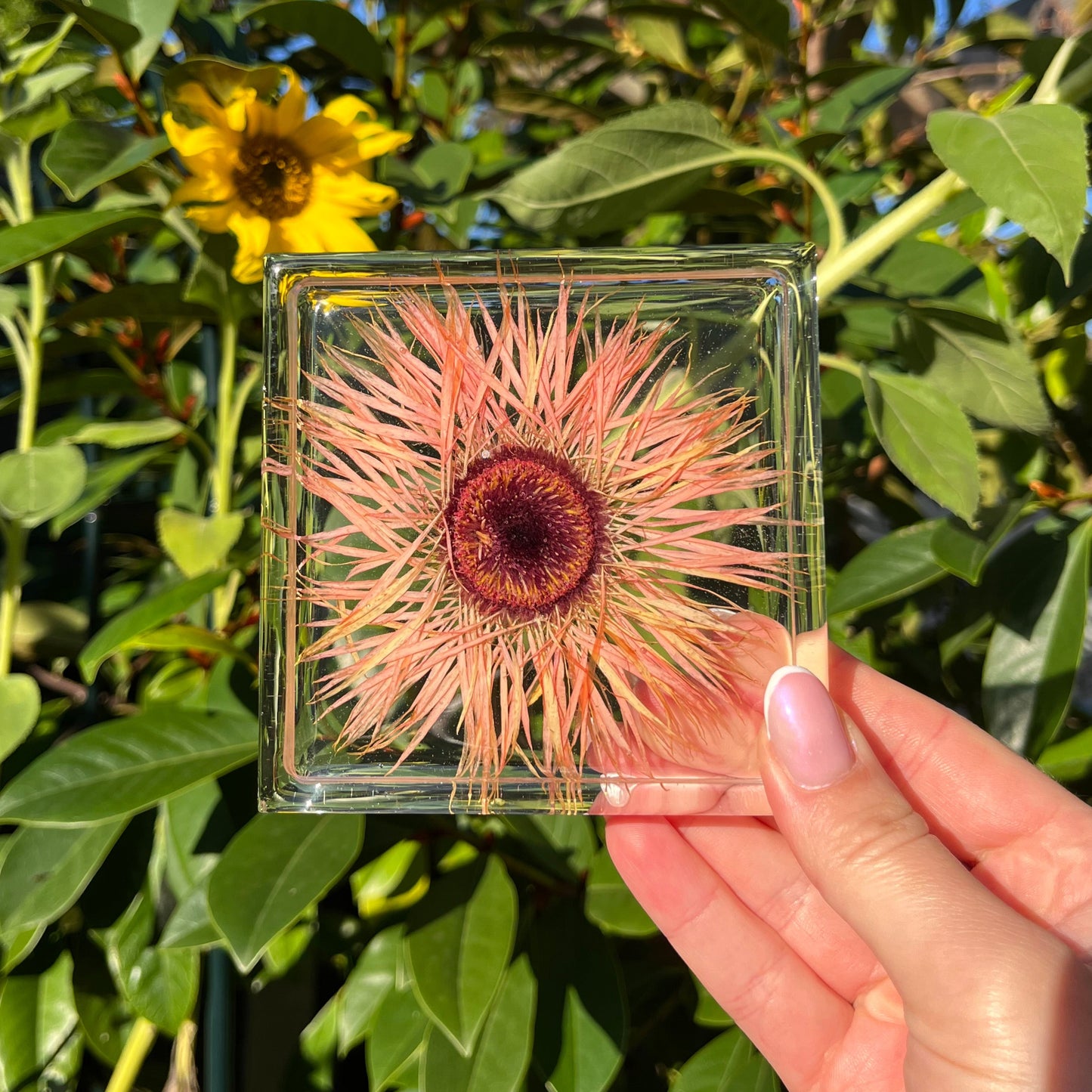 Square Coaster Sets
