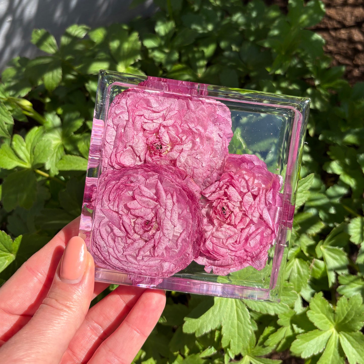 Square Coaster Sets