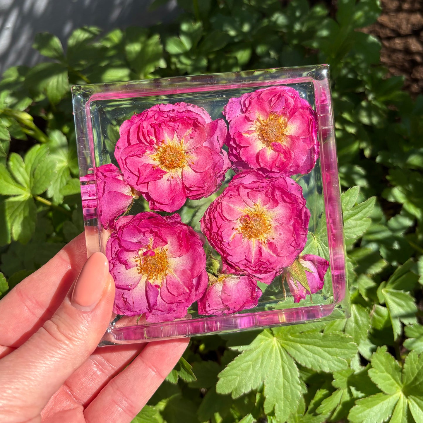 Square Coaster Sets