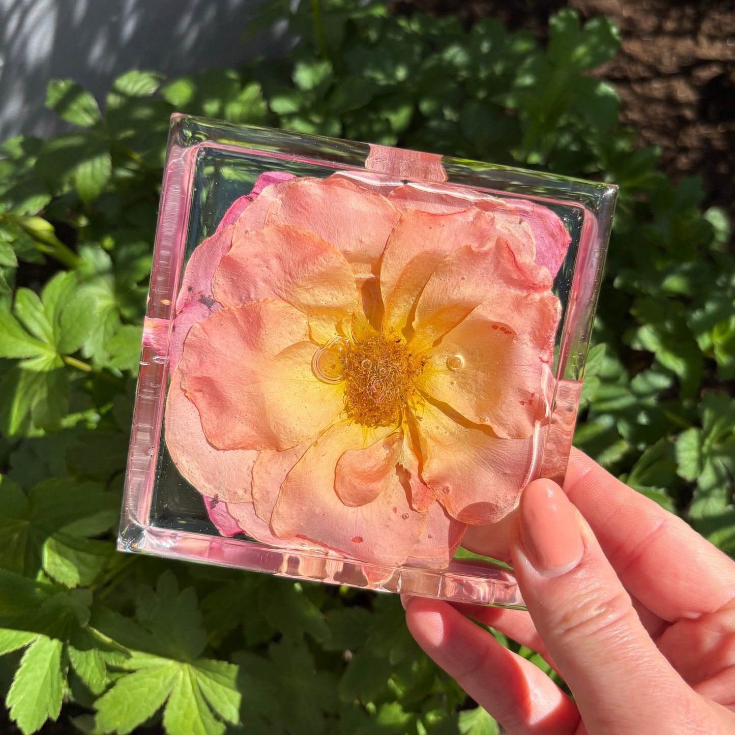 Square Coaster Sets