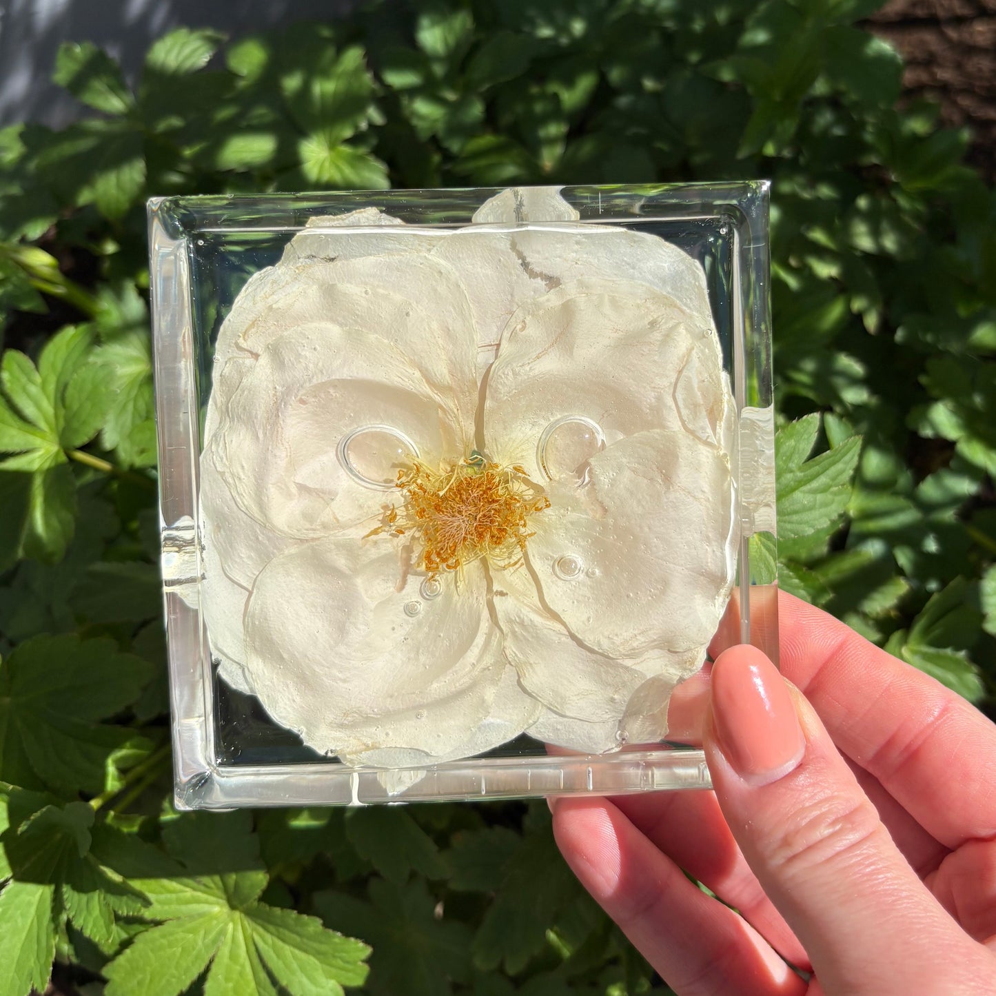 Square Coaster Sets