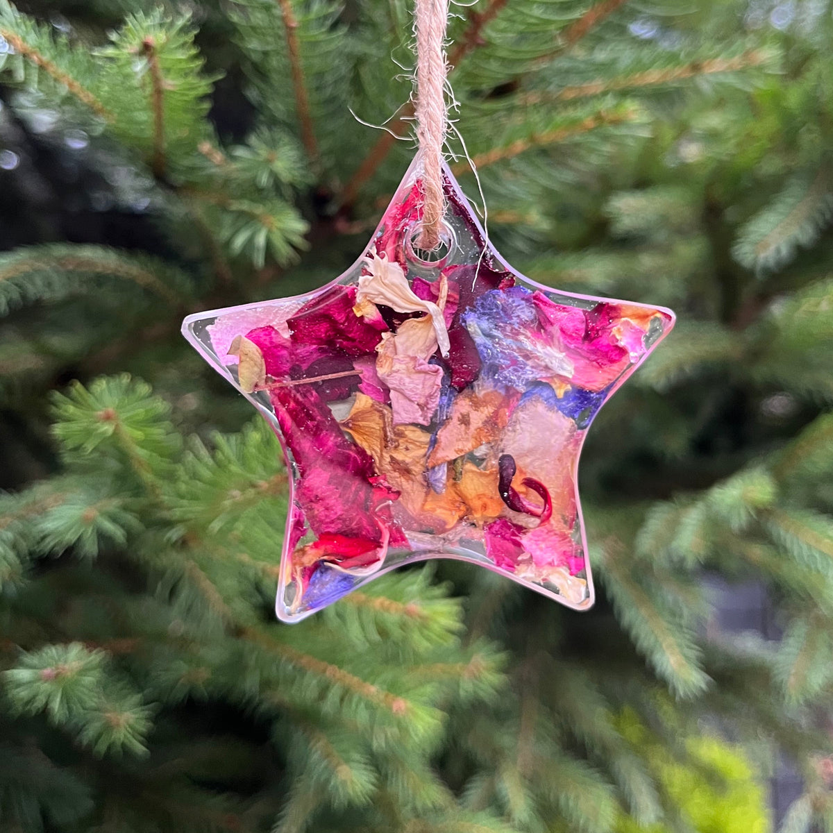 Star-shaped ornament with colorful design held in front of a green tree