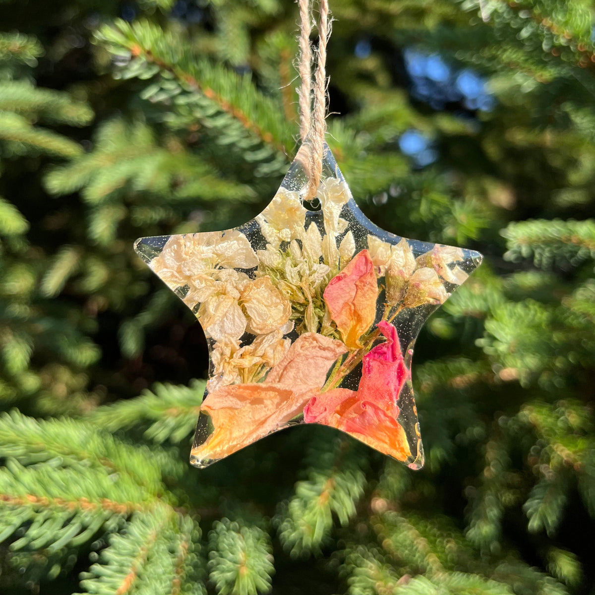 Decorative star-shaped ornament on a string against a green tree background