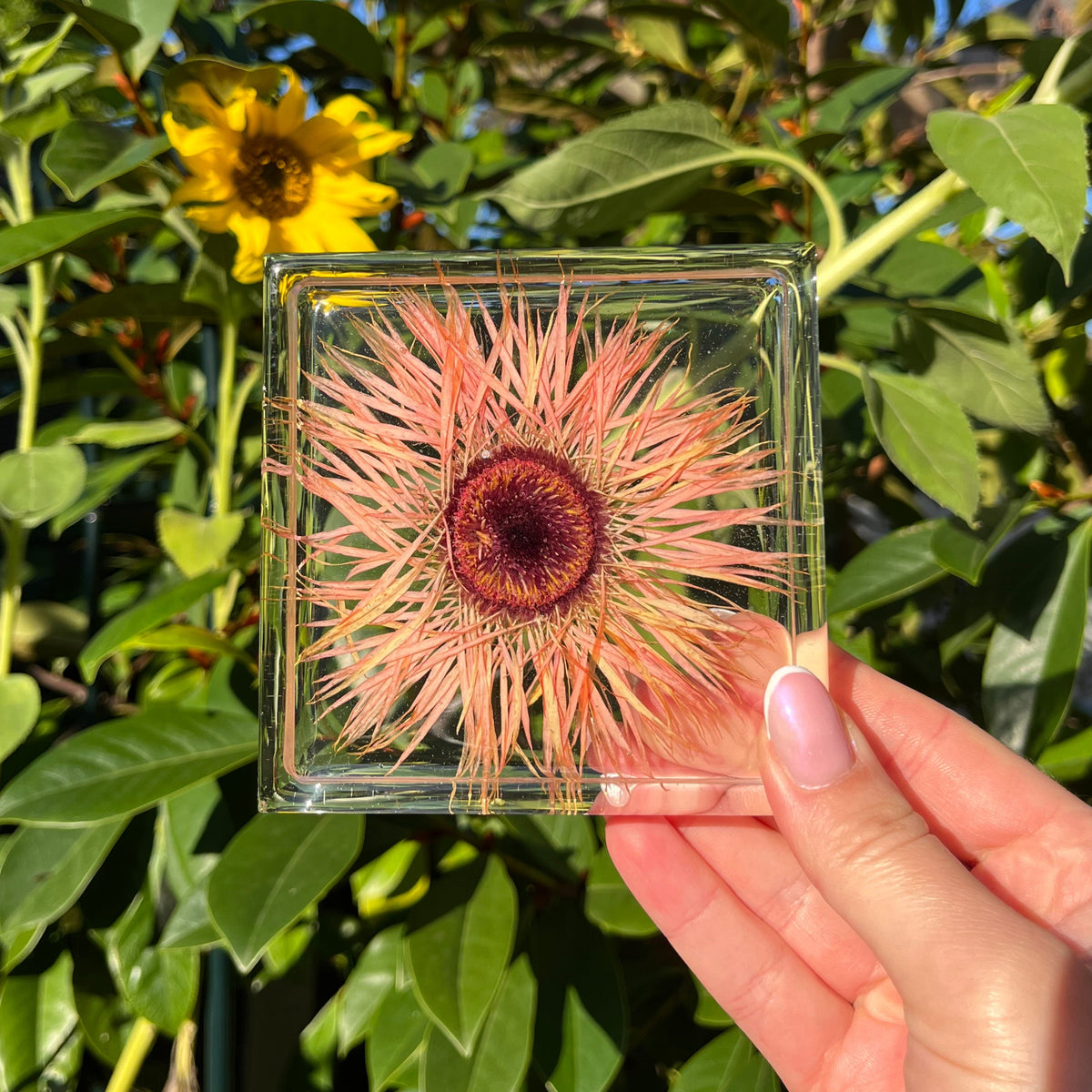 Square Coaster Sets