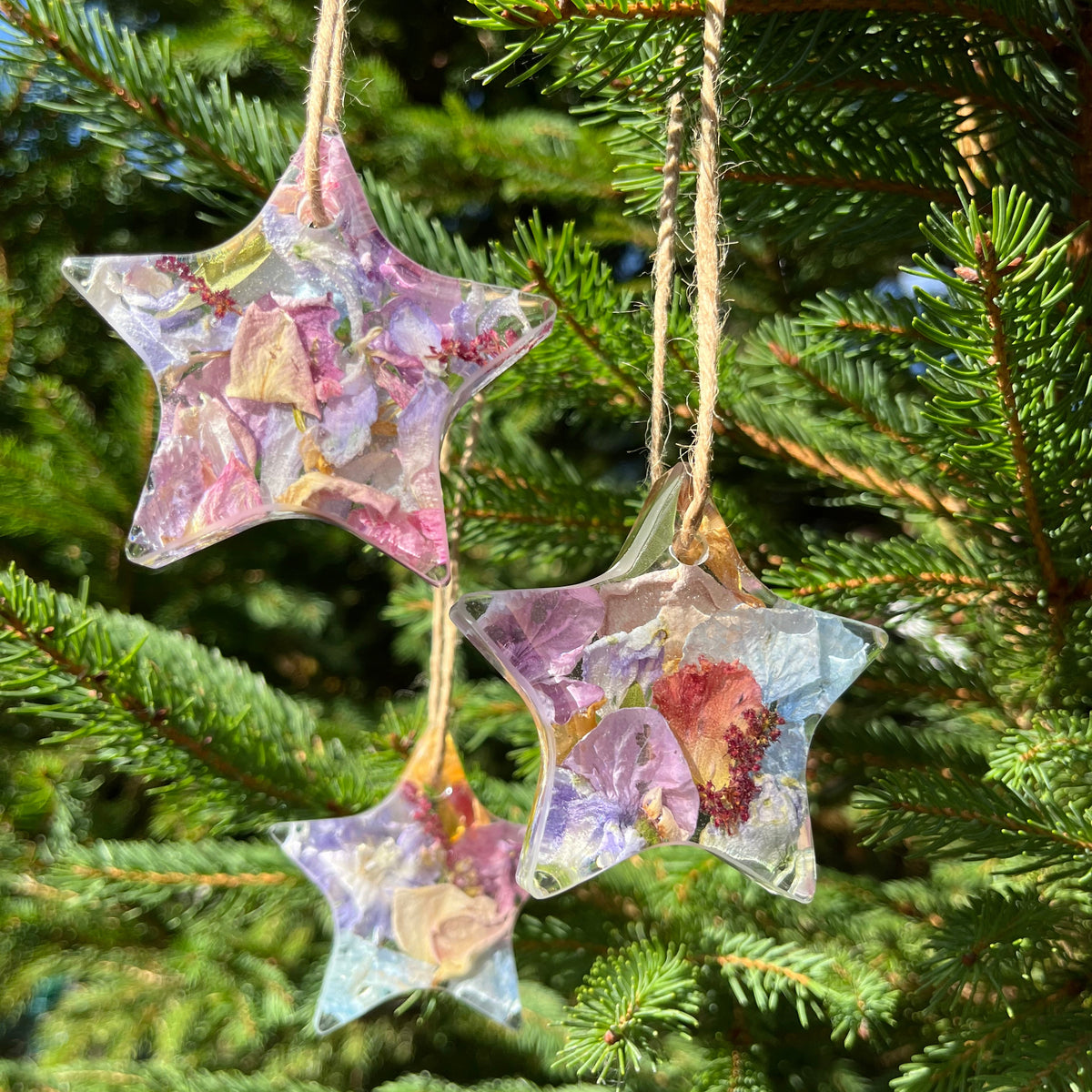 Decorative star-shaped ornaments with floral design hanging on a Christmas tree.
