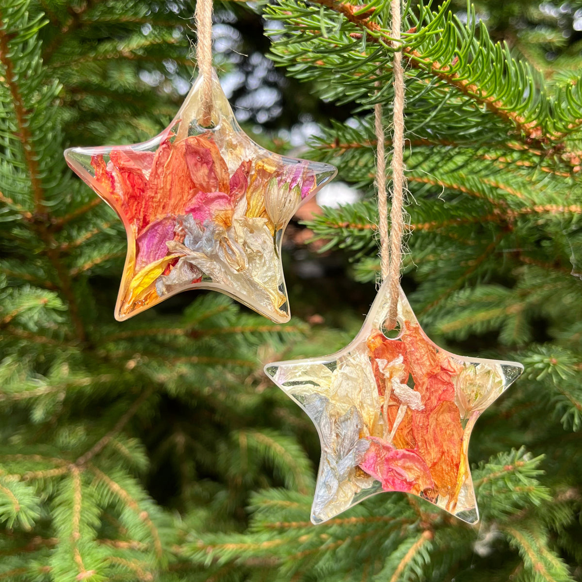 Decorative star-shaped ornament on a Christmas tree