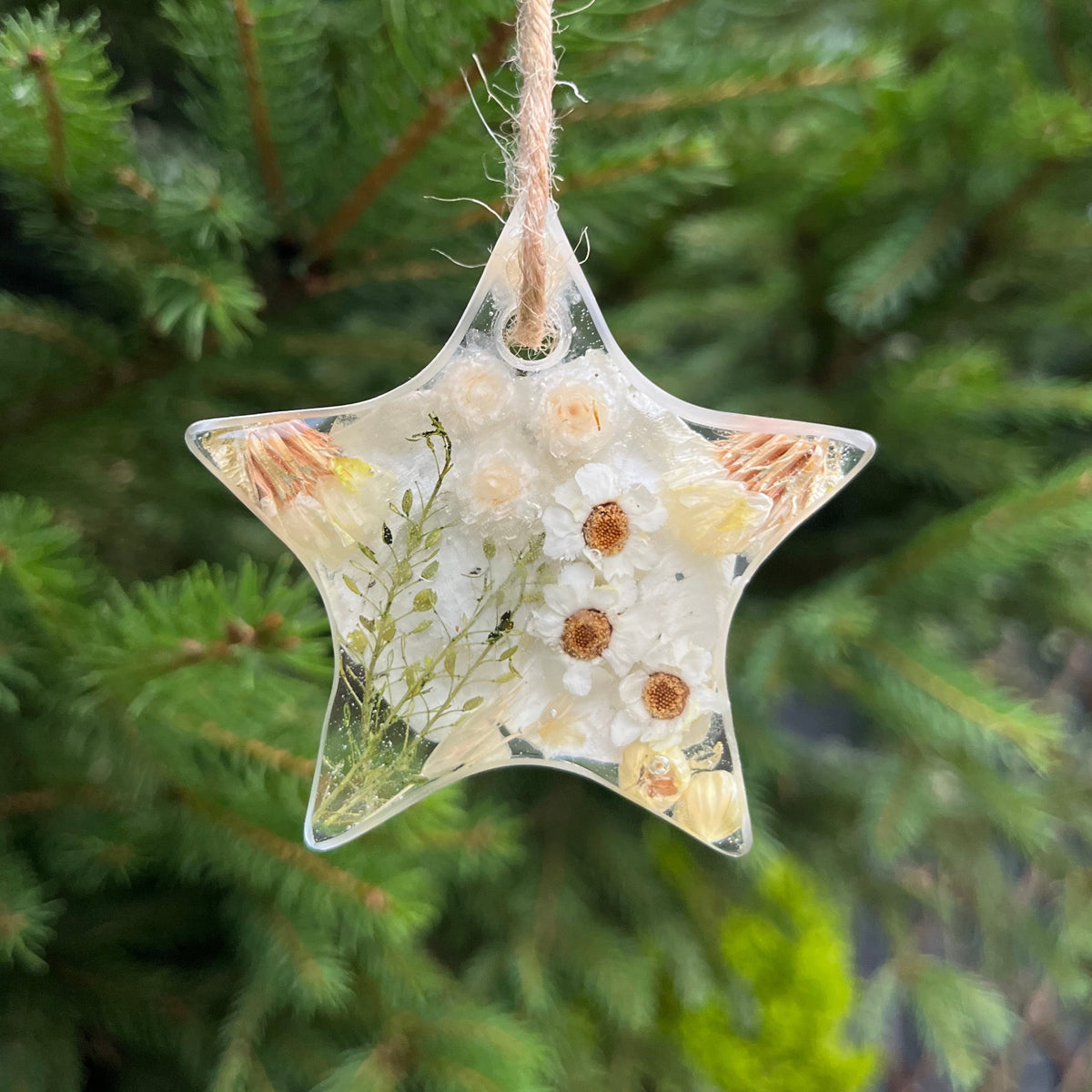 Decorative star ornament with flowers, against a green tree background.