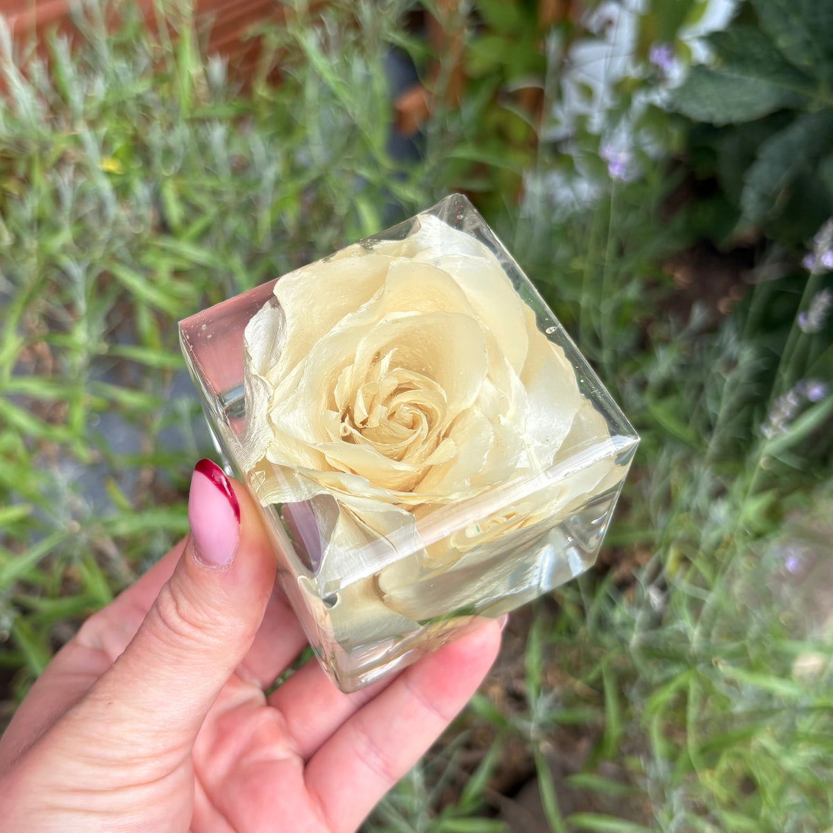 Paperweight Block