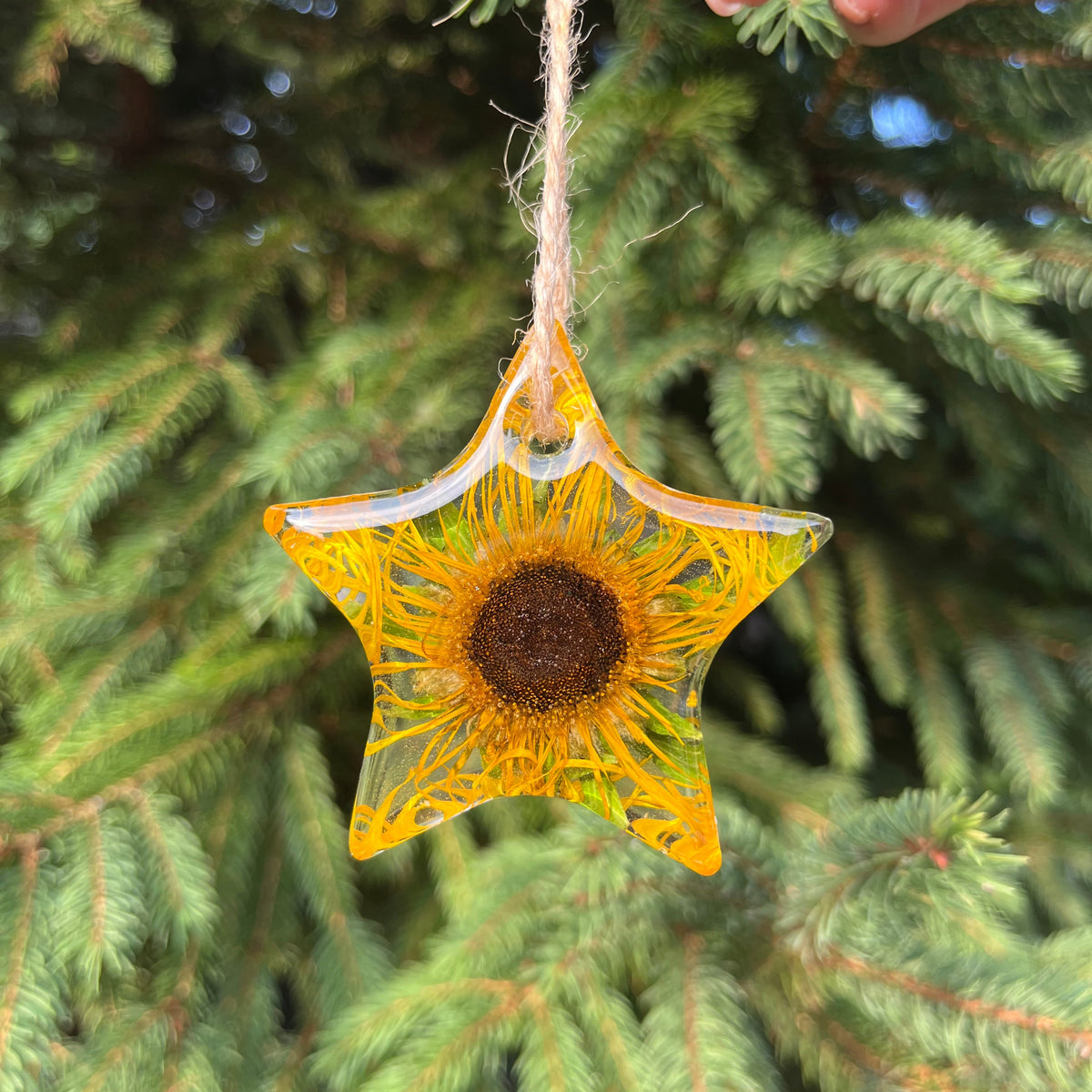 Star Christmas Tree Decoration