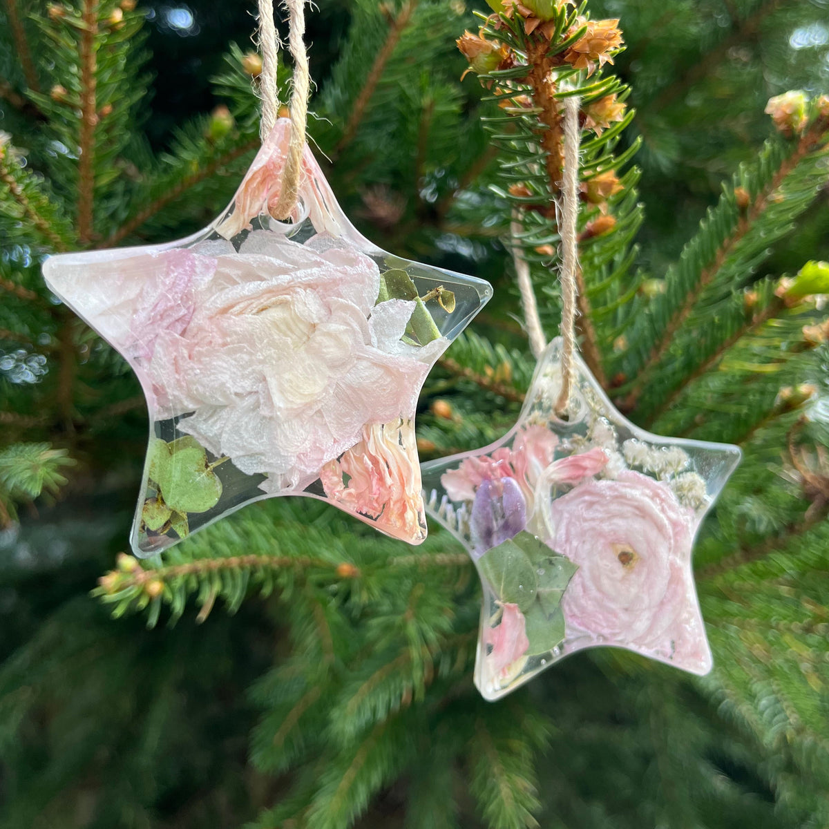 Decorative star-shaped ornaments with floral patterns held against a green tree background