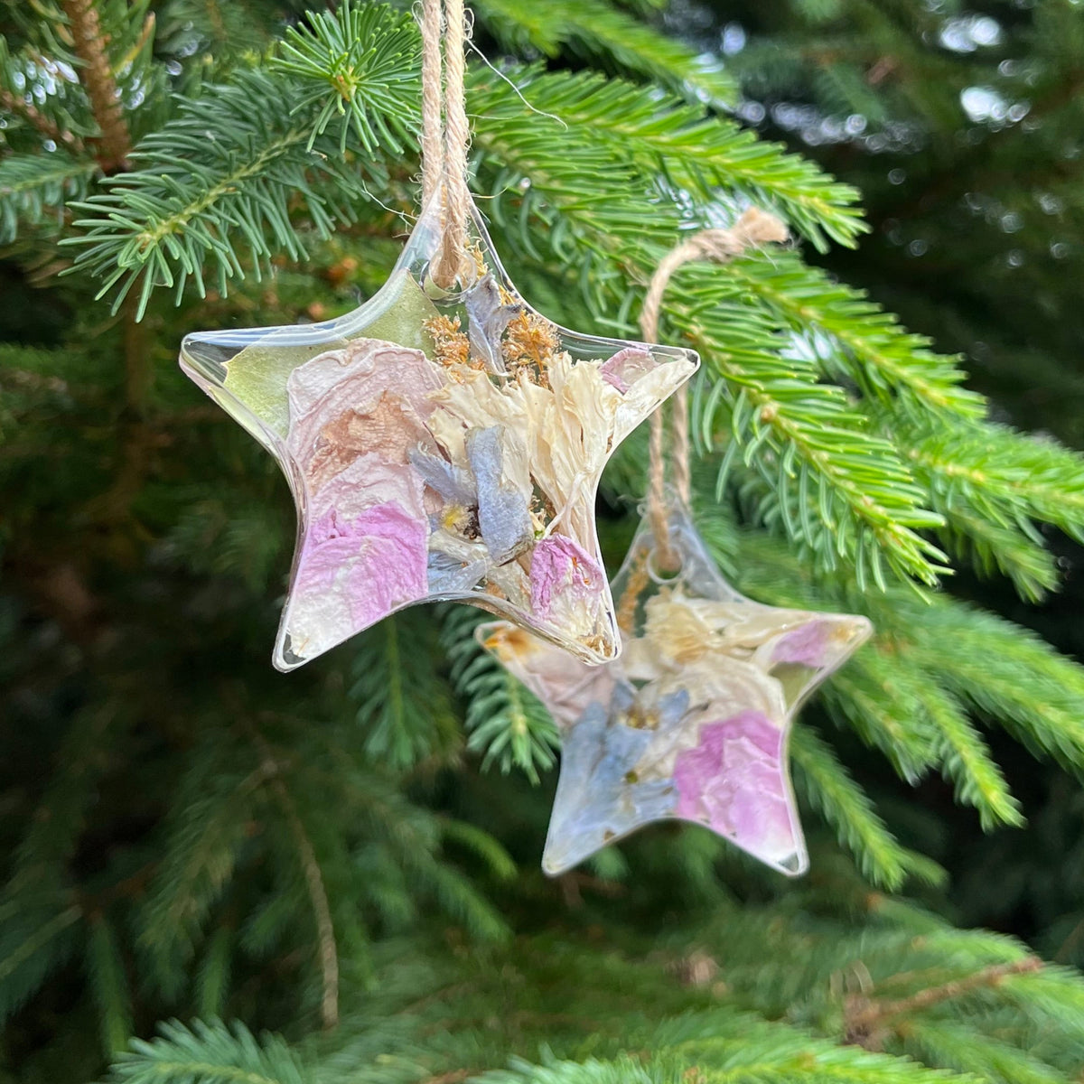 Decorative star-shaped ornament on a Christmas tree
